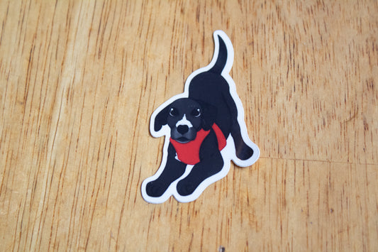 Dog Sticker Bundle -  Oreo the foster dog