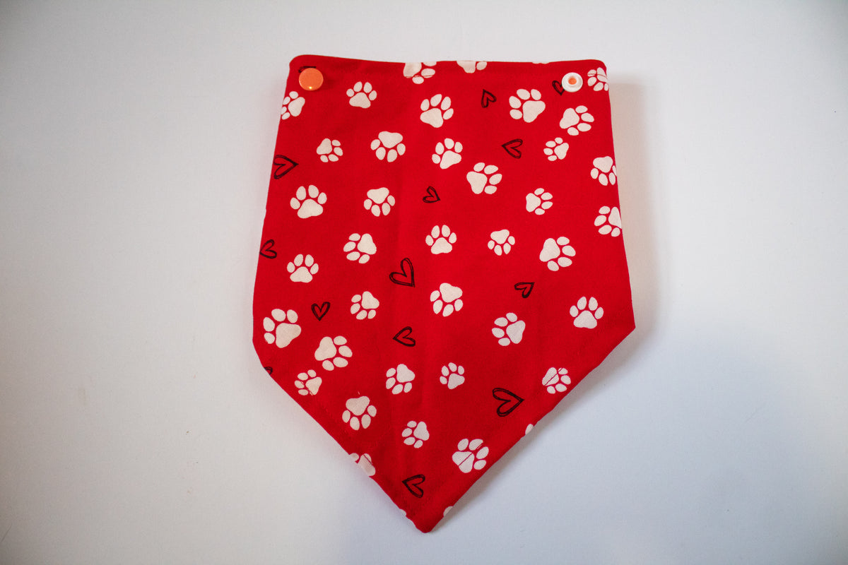Lovely Paws Bandana