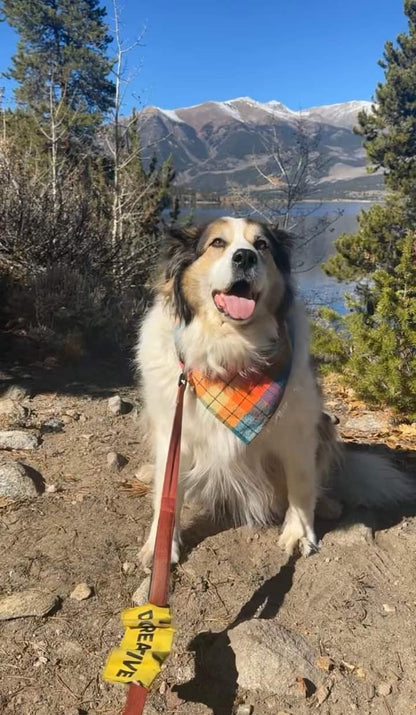 Fall Plaid Bandana