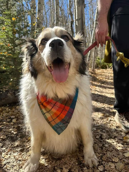 Fall Plaid Bandana