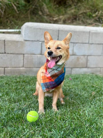 Fall Plaid Bandana