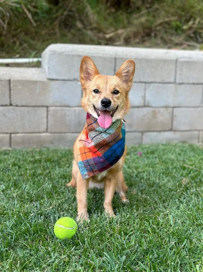 Fall Plaid Bandana