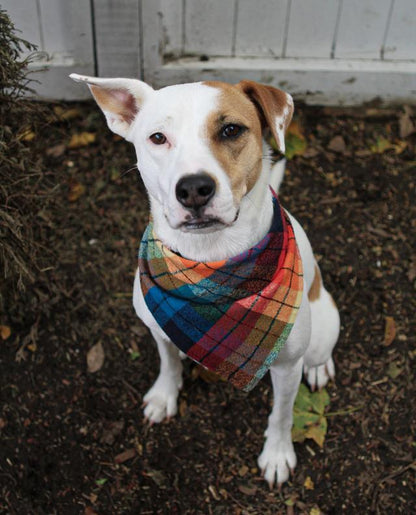 Fall Plaid Bandana