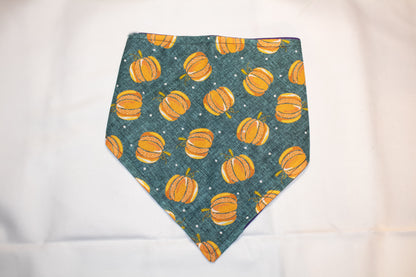 Pumpkin Patch Bandana