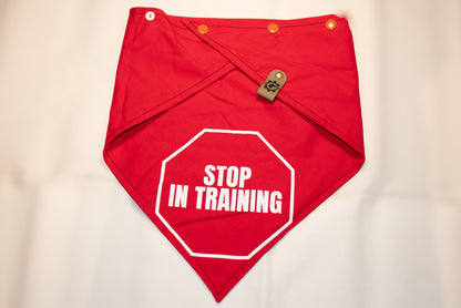 Stop In Training CK9 Collaboration Bandana