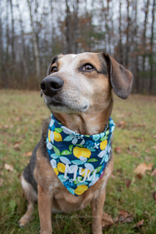 Winter Lemons Bandana