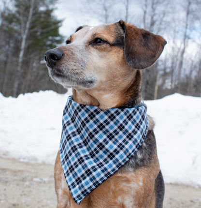 Blue Plaid Bandana