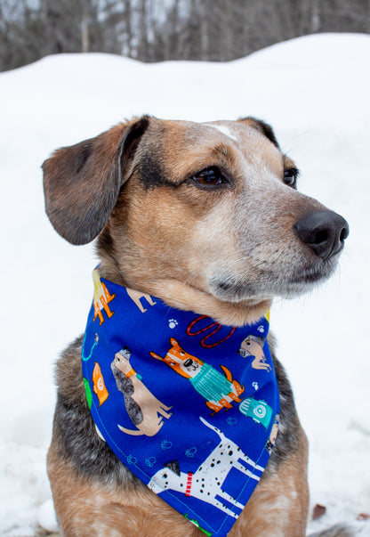 Dog Walker Bandana