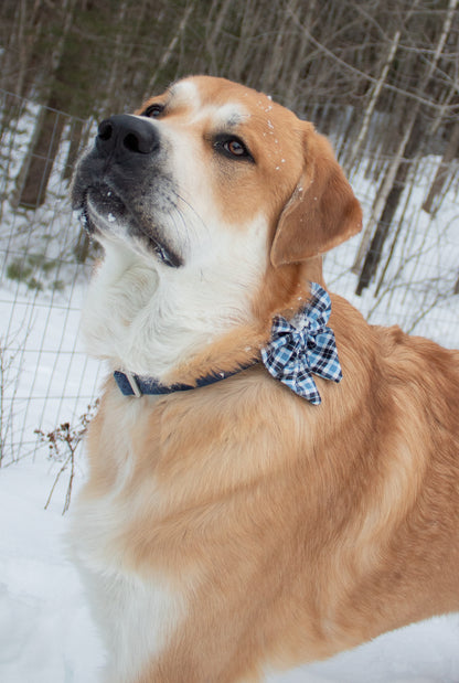 Blue Plaid Sailor Bow