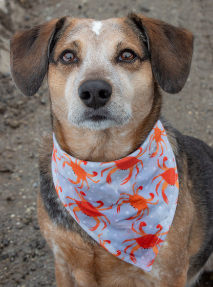 Feeling Crabby Bandana Crab Dog Bandana