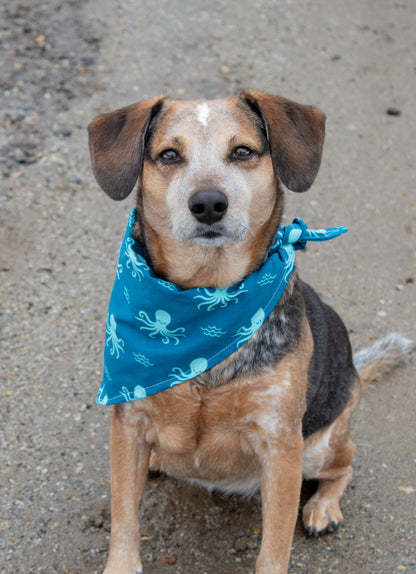 Calamari Special Bandana Octopus Dog Bandana