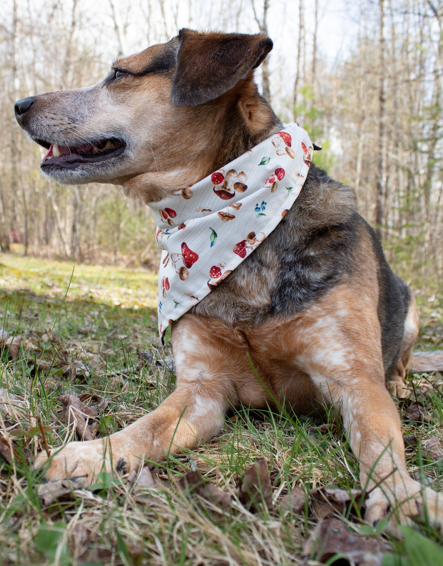 Mushroom Bandana