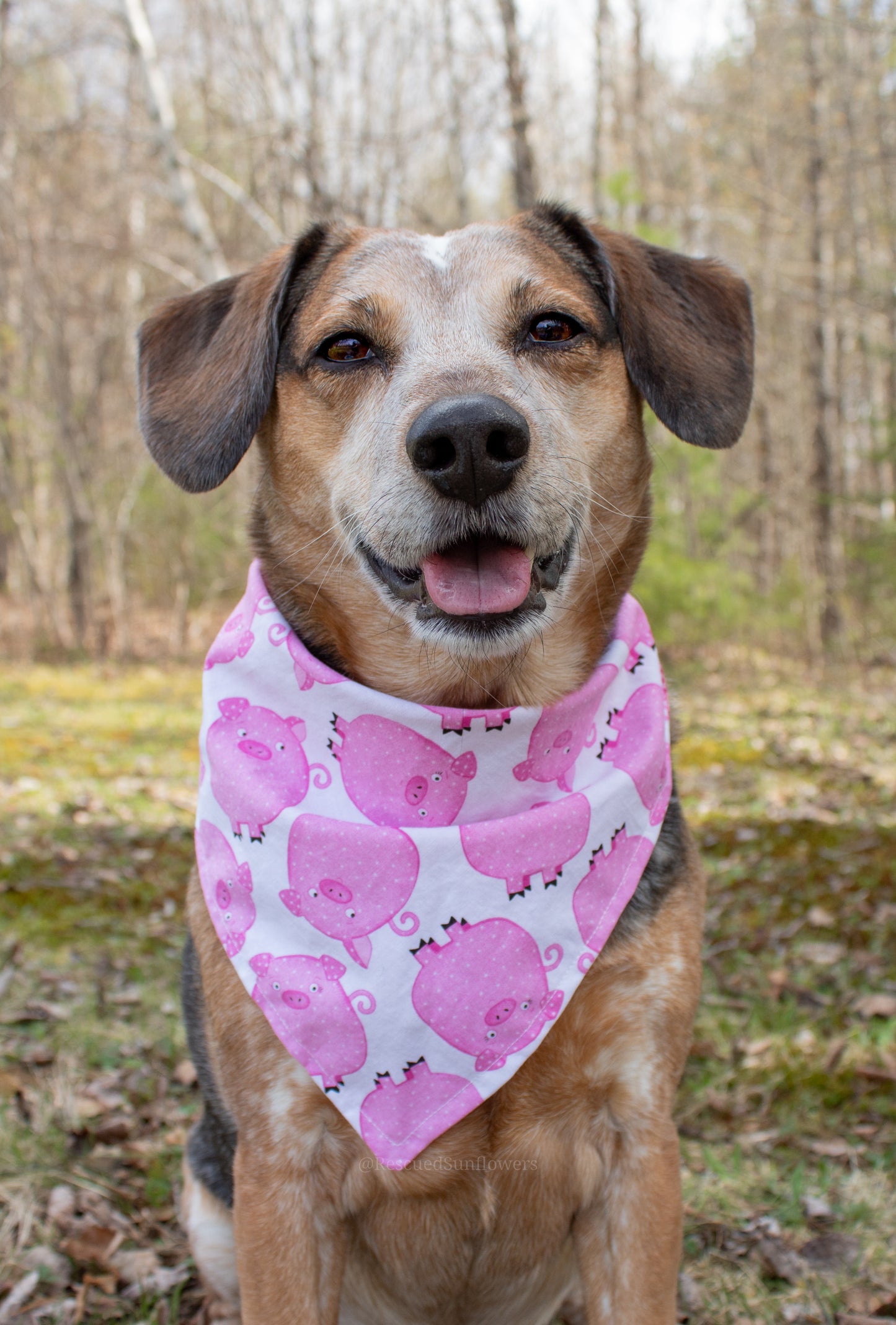 Piggy Floral Bandana