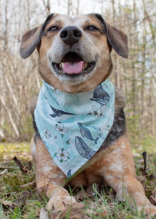 Oh Whale Bandana