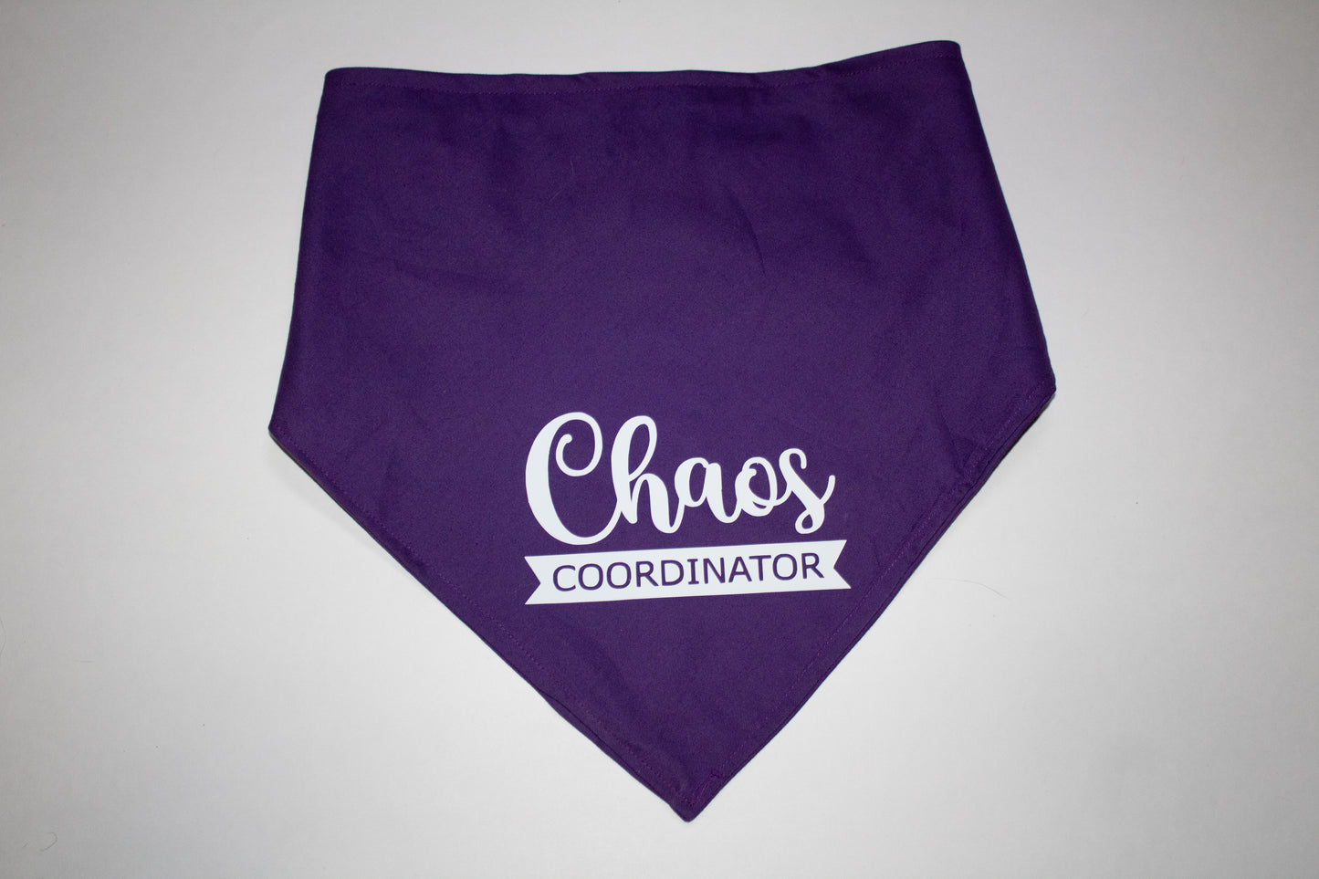 Chaos Coordinator Bandana