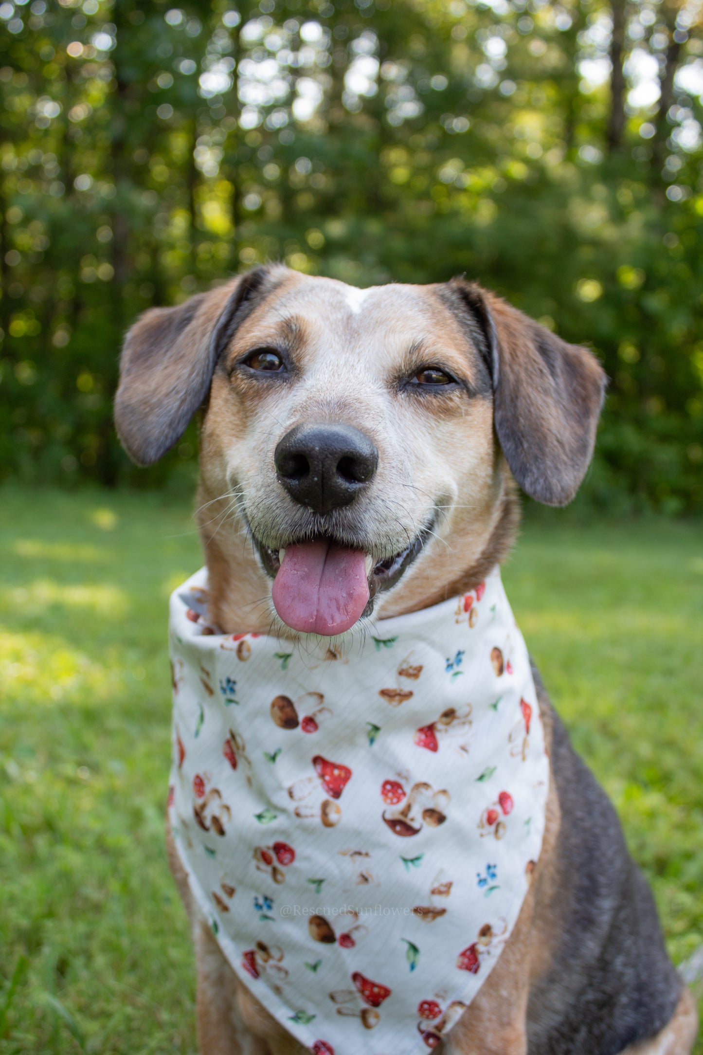 Mushroom Bandana