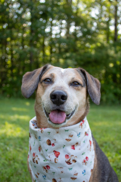 Mushroom Bandana