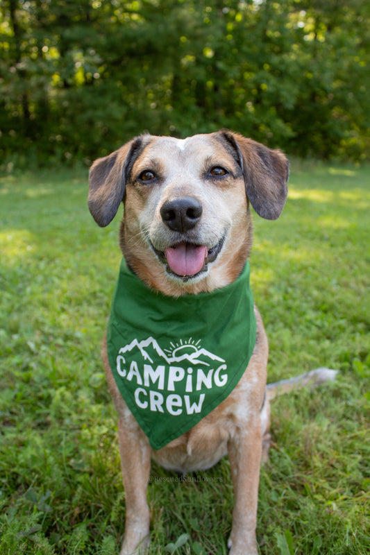 Camping Crew Pet Bandana Green and White