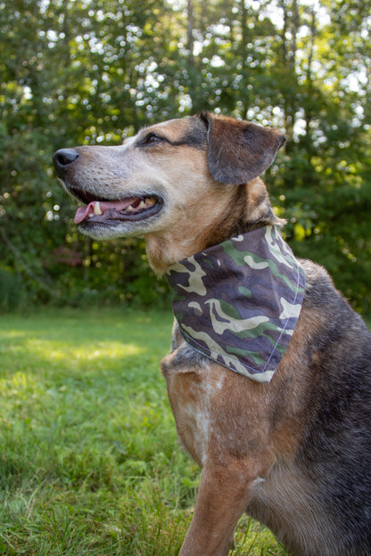 Camo Felix Bandana Size Small