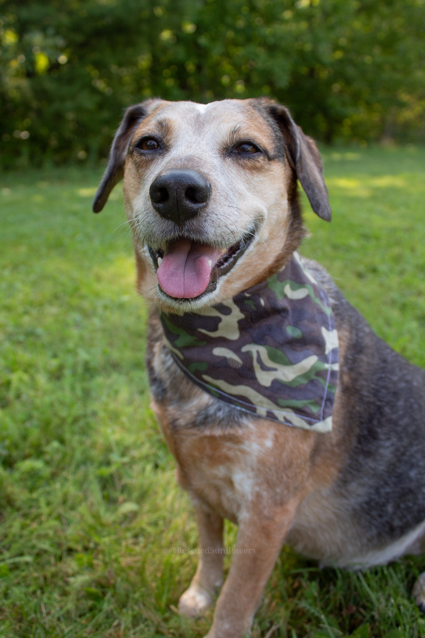 Camo Felix Bandana Size Small