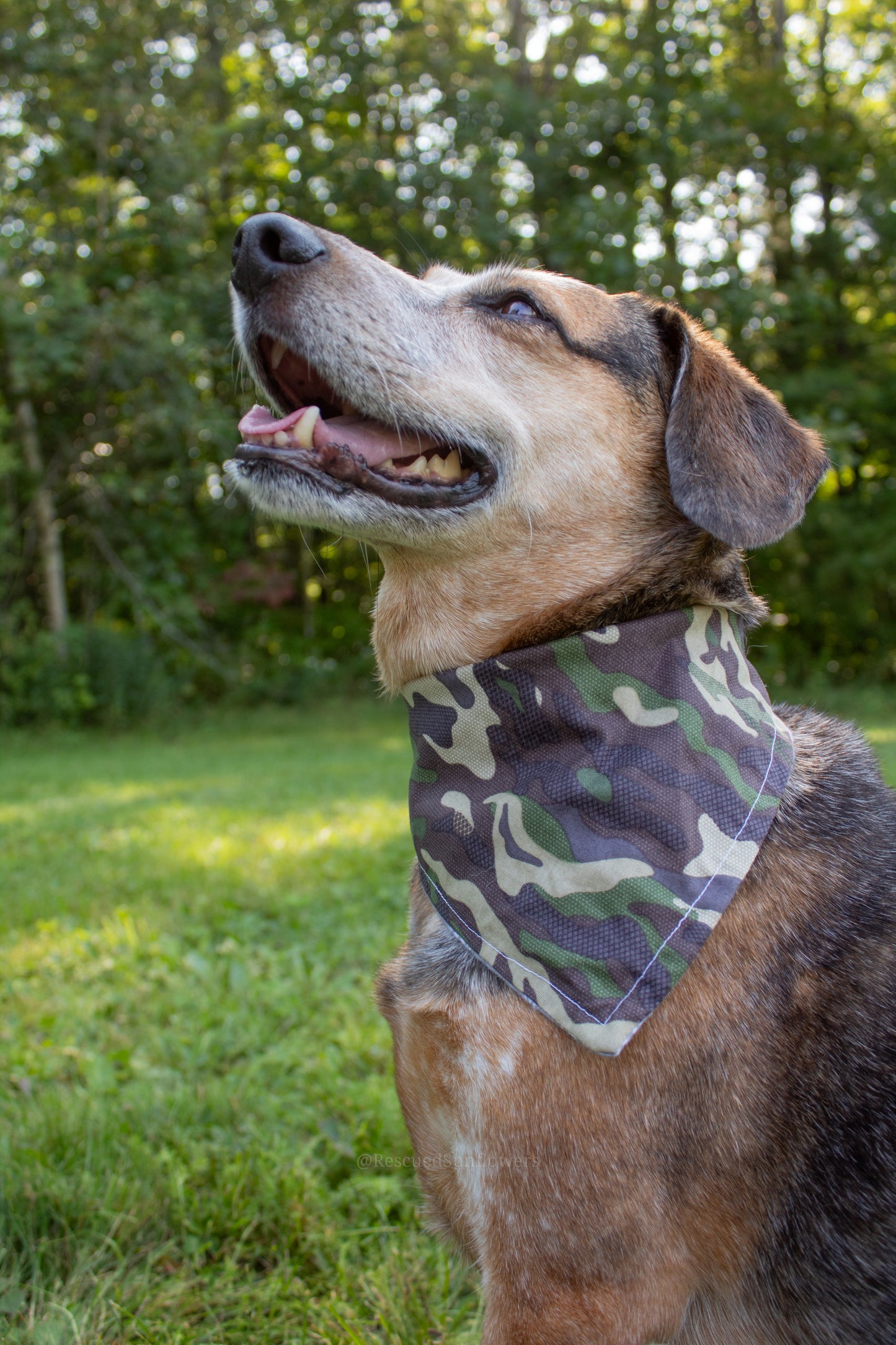 Camo Felix Bandana Size Small