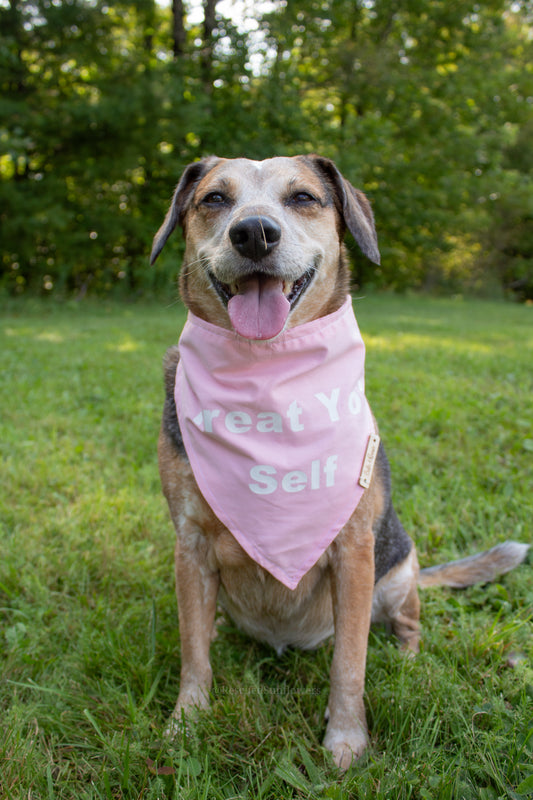 Treat Yo Self Matching Bandanas Old Style