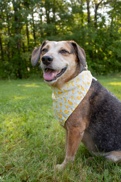 Gone Bananas Bandana Scrunchie Set