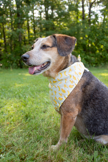 Gone Bananas Bandana Scrunchie Set