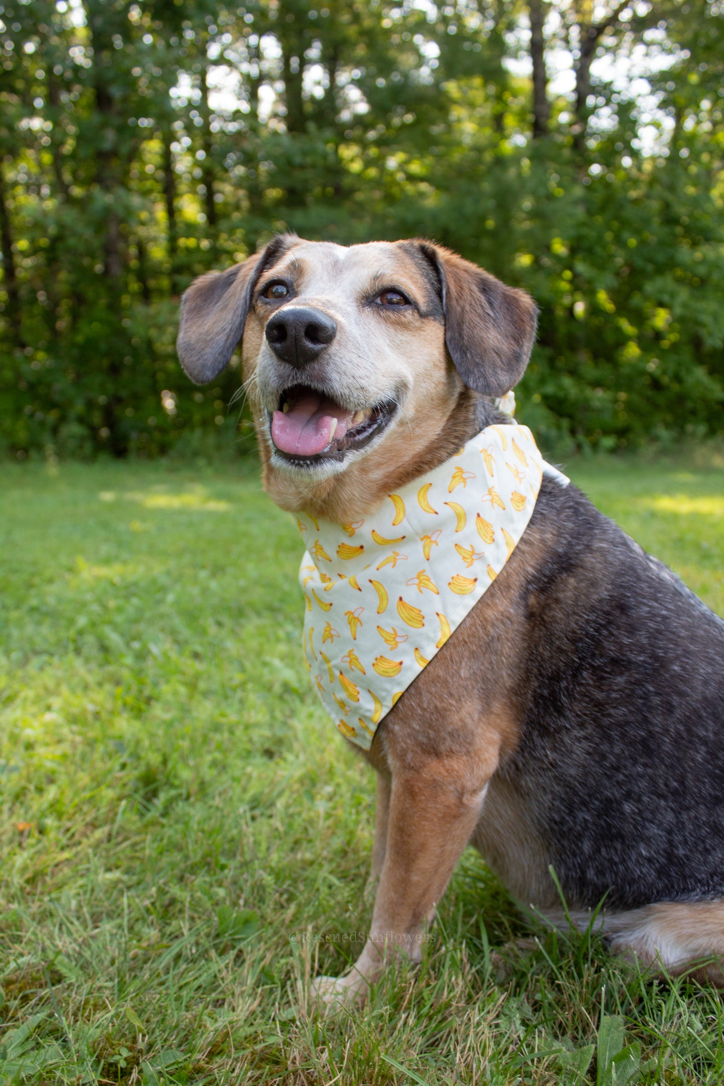 Gone Bananas Bandana Scrunchie Set