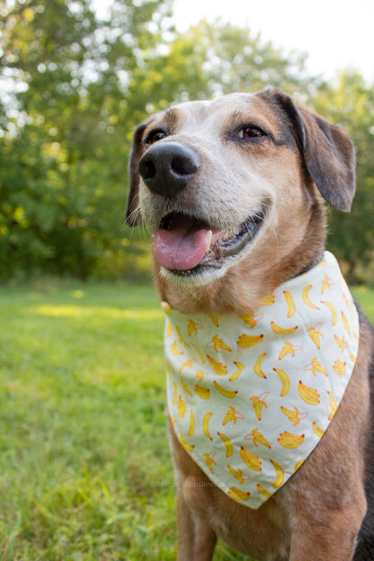 Gone Bananas Bandana Scrunchie Set