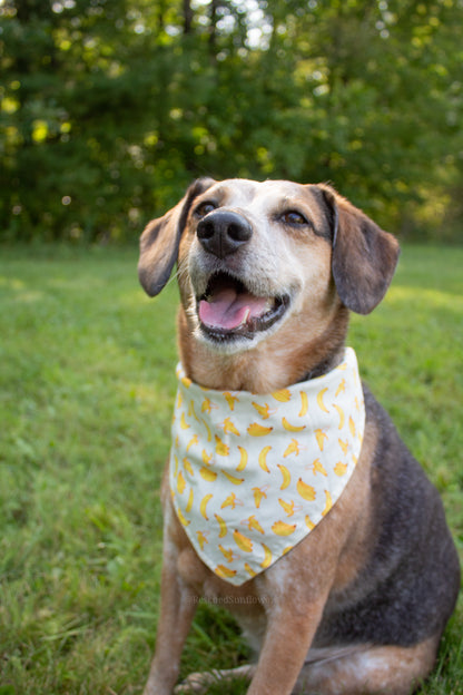 Gone Bananas Bandana Scrunchie Set