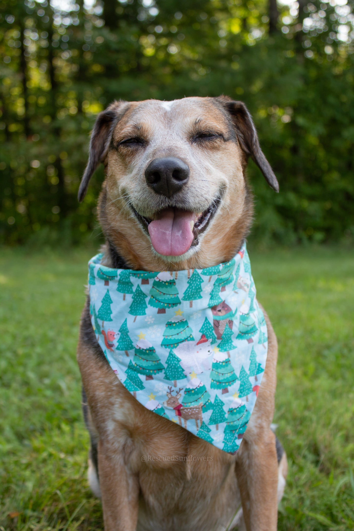 Winter Animals Bandana