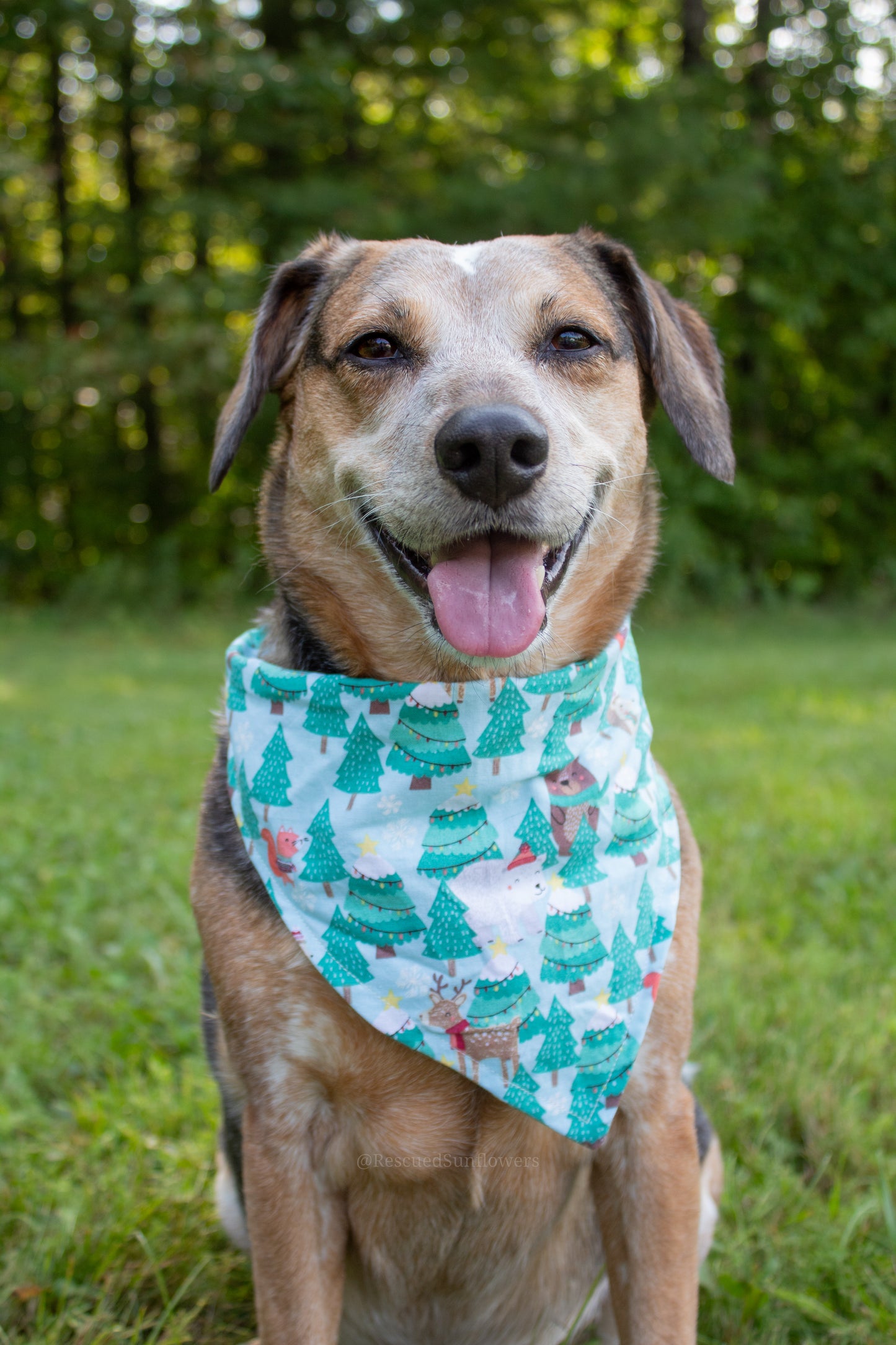 Winter Animals Bandana