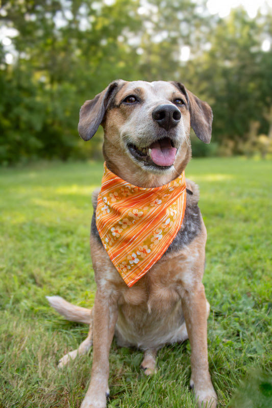 Orange Floral Bandana