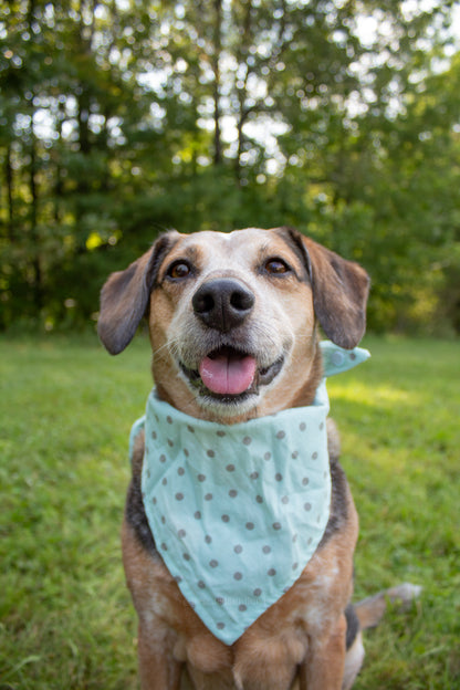 Polka Dots Blue and Grey Bandana