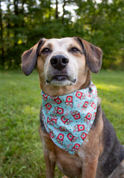 Holiday Pup Cup Bandana Scrunchie Set