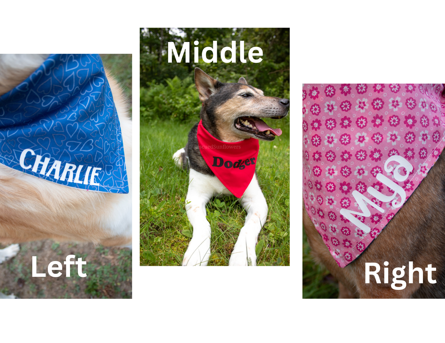 Bandana Name Add On