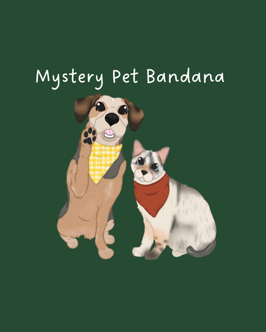 Mystery Bandana