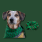 Scottish Terrier Matching Bandana Scrunchie Set