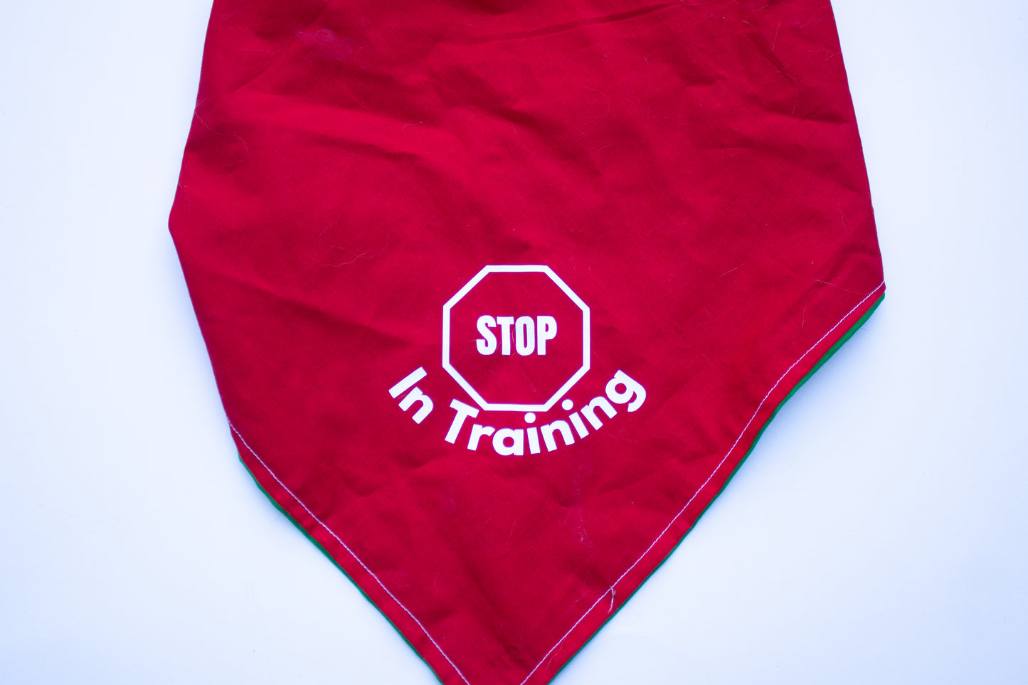 Stop In Training Reversible Ask to Pet Bandana - CK9 Collaboration Bandana