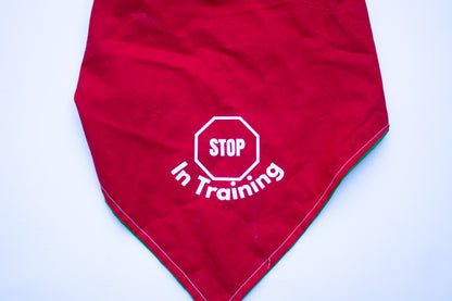 Stop In Training Reversible Ask to Pet Bandana - CK9 Collaboration Bandana