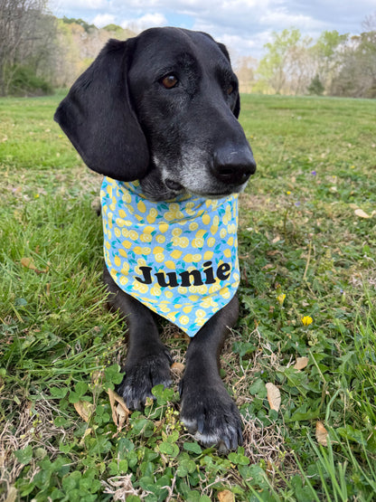 Bandana Name Add On