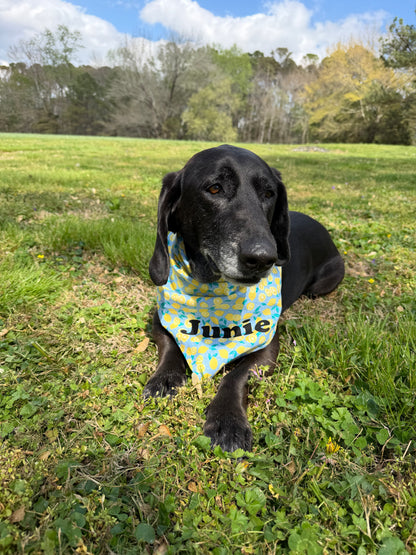 Lemon Bandana or Bandana Scrunchie Set