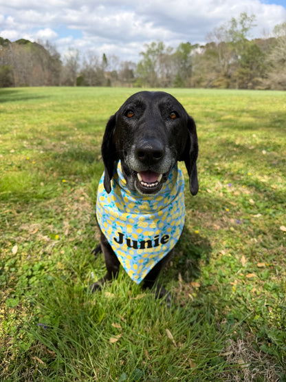 Lemon Bandana or Bandana Scrunchie Set