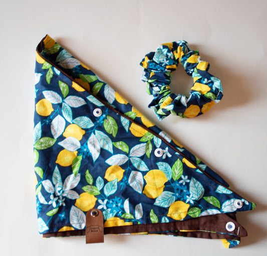 Winter Lemons Bandana Scrunchie Set