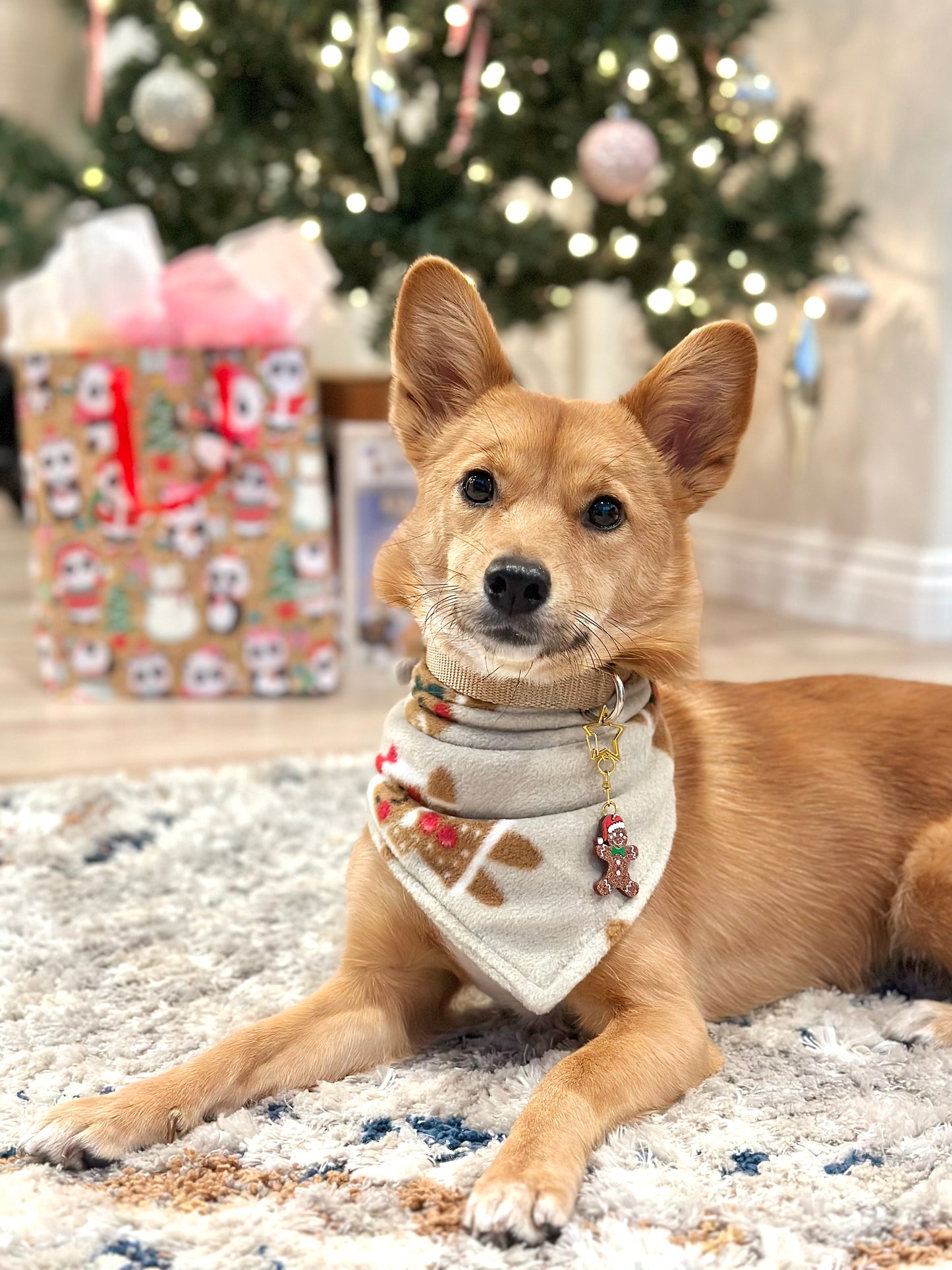 Cozy Cookies Bandana