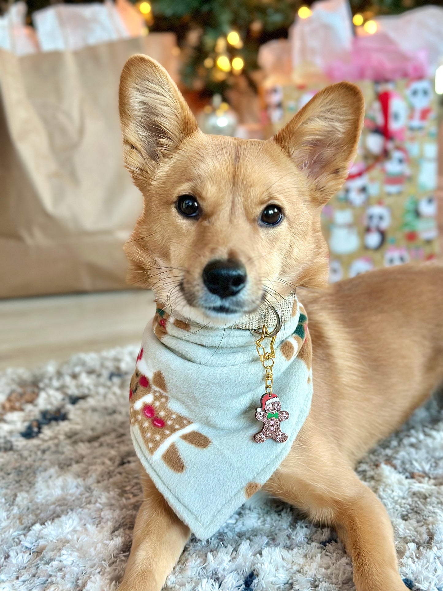 Cozy Cookies Bandana