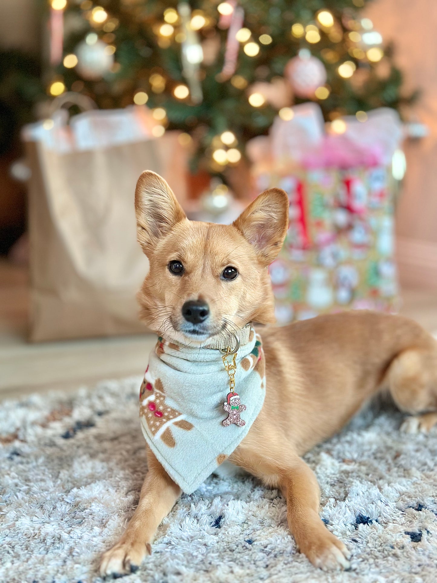 Cozy Cookies Bandana