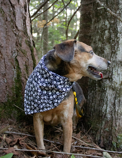 Purple Plaid Skulls Bandana