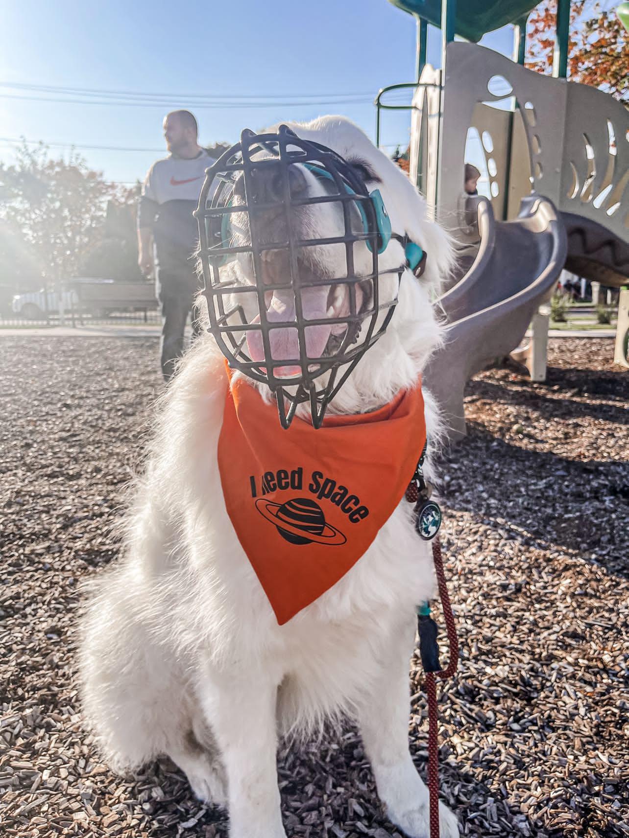 Orange I Need Space CK9 Collaboration Bandana